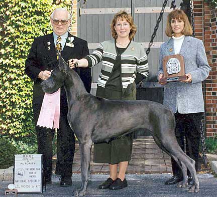 Female Great Dane Growth Chart